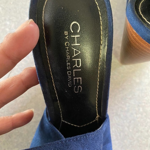 Charles by Charles David Navy Blue Wedge Dark Academia Wedding Pointed Toe Heels - Picture 11 of 11